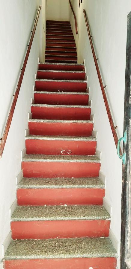 Ferret Apartment อาลเกโร ภายนอก รูปภาพ
